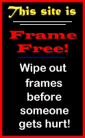 Frame Free Site